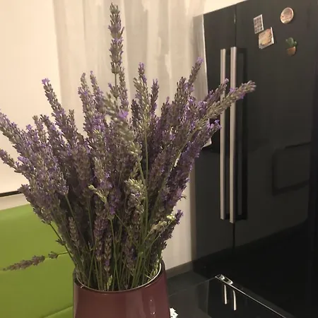 Casa Di Lavanda דירה *