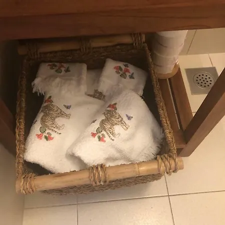 卡萨熏衣草公寓 公寓