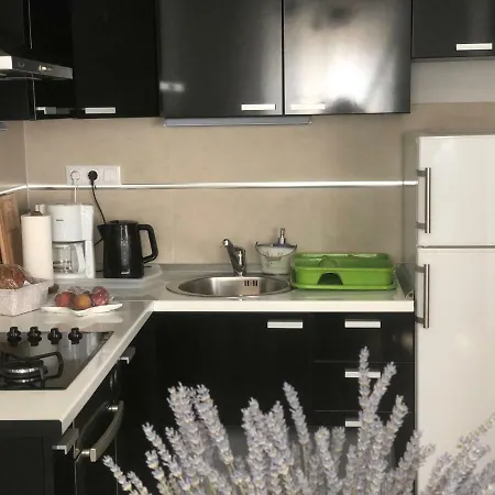 卡萨熏衣草公寓 赫瓦尔