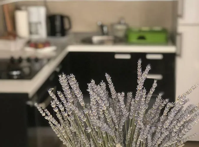 Διαμέρισμα Casa Di Lavanda Χβαρ